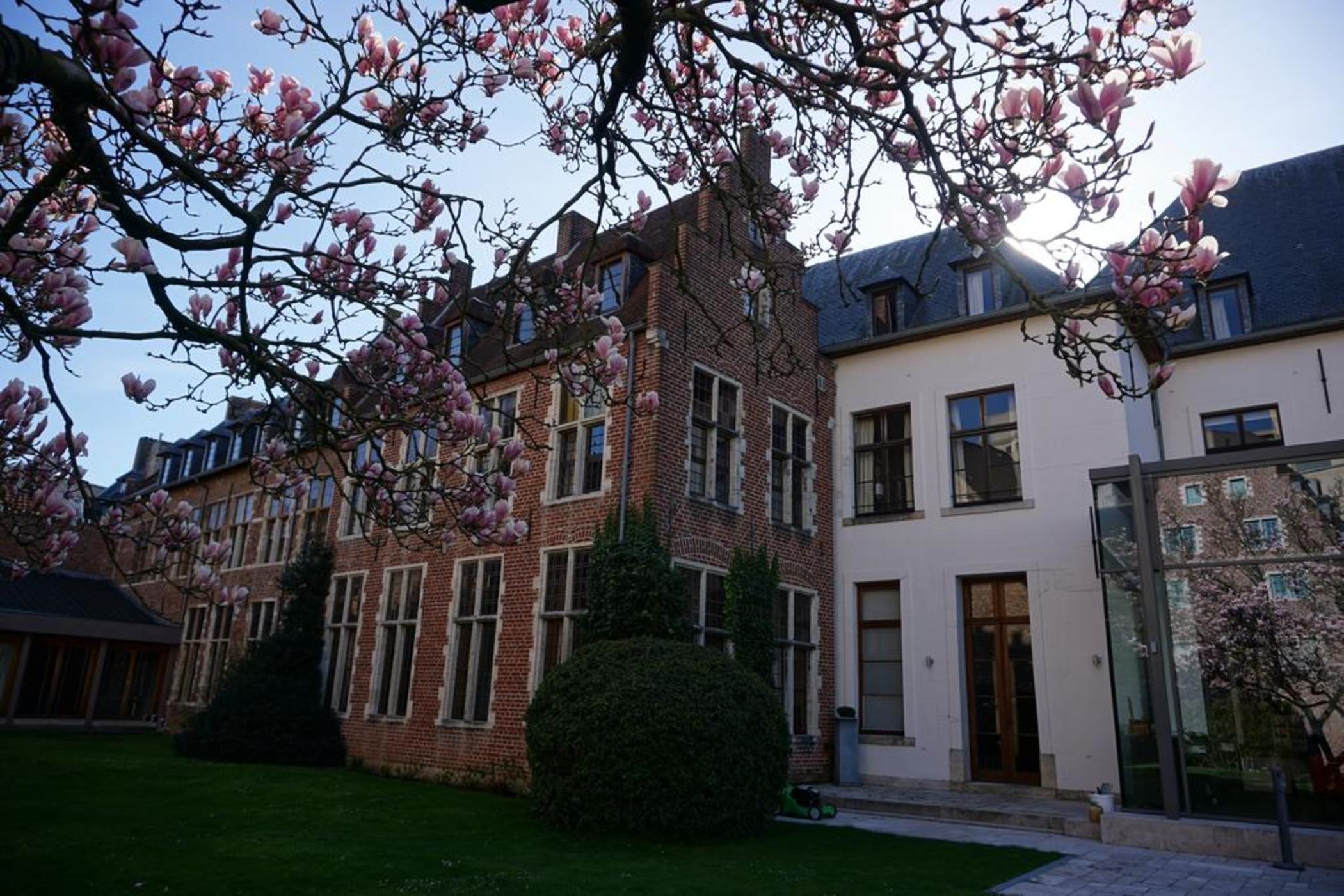 Hotel Martin'S Klooster Lovaina Exterior foto